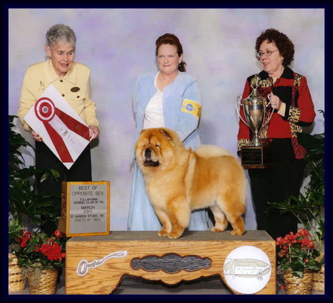 Gloria




 BOS MTCCC Specialty March 2011