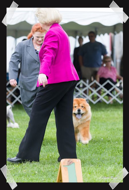Marilyn in 
      
 
 
 
 
 
 
 
 
 
 
 
 
 
 
 
 
 the ring at Terre Haute, IN.